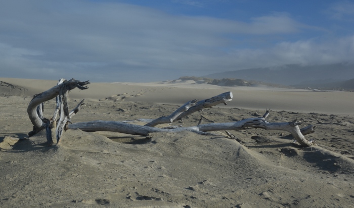 sand dunes